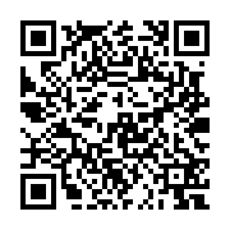 QR code for 2REP225