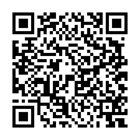 QR code for 2SDD163