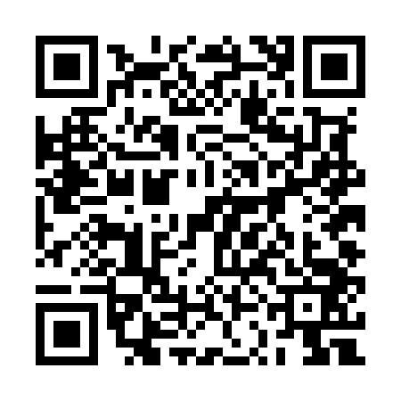 QR code for 2SDM435