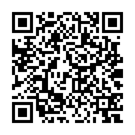 QR code for 2SDP325