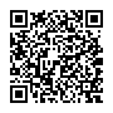 QR code for 2SDS919