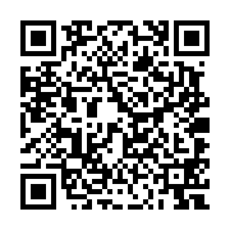 QR code for 2SDT985