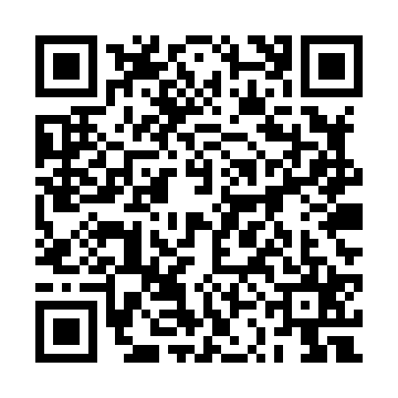 QR code for 2SEX253