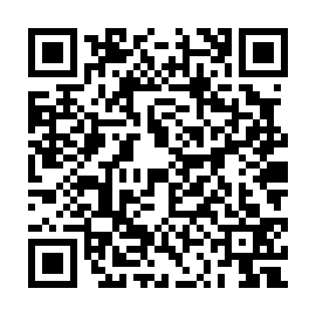 QR code for 2SNP333