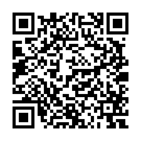 QR code for 2SPT876