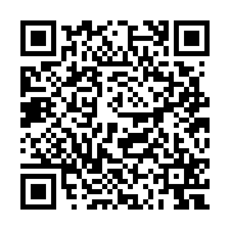 QR code for 2SSG253
