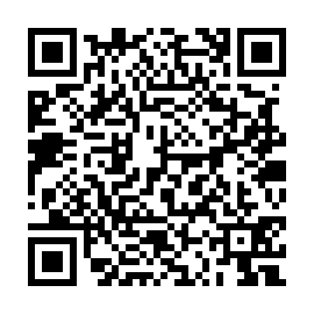 QR code for 2SSU310