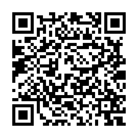 QR code for 2SSX273
