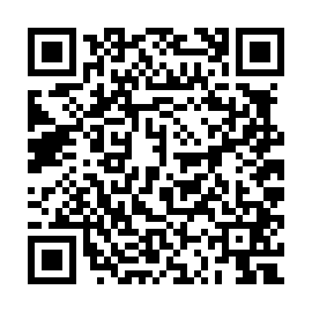 QR code for 2SVL416