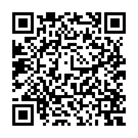 QR code for 2SXJ461