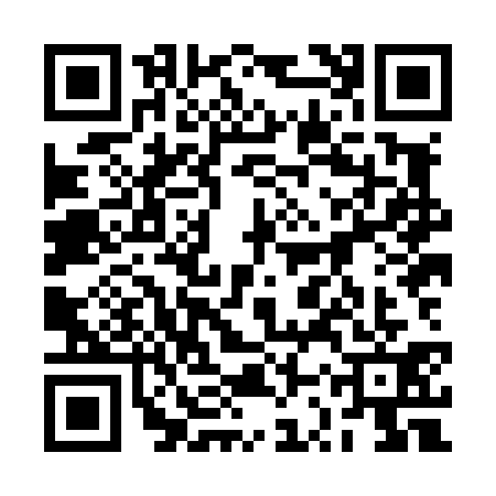 QR code for 2SXL311