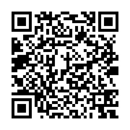 QR code for 2SYZ398
