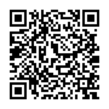 QR code for 2SZP009