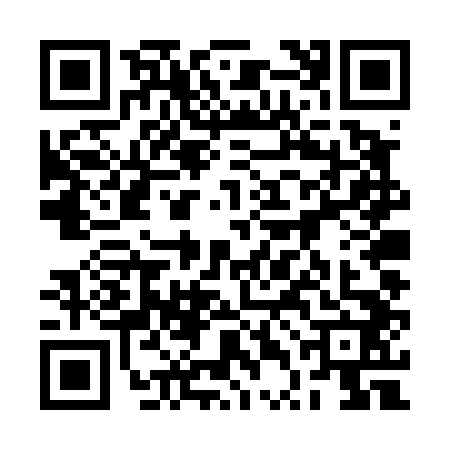 QR code for 2TDT429