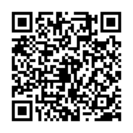 QR code for 2TNS385