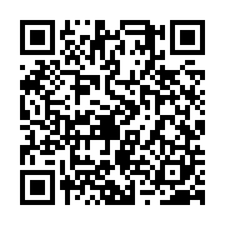 QR code for 2TNZ413