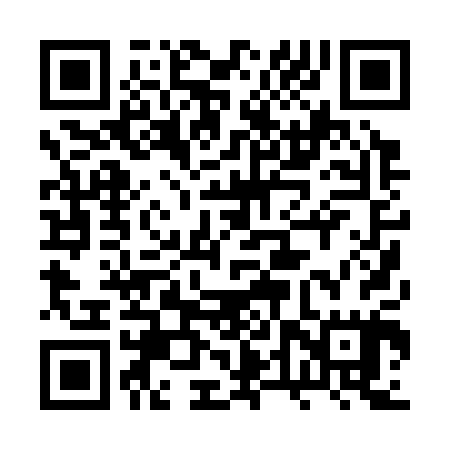 QR code for plate 2T P305