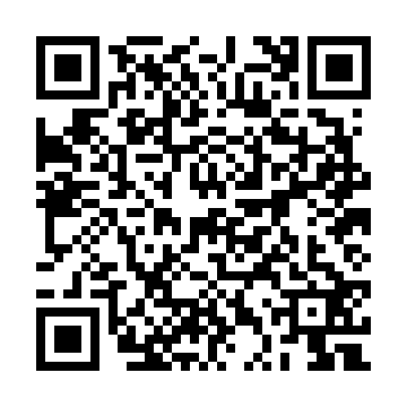 QR code for 2TPF228