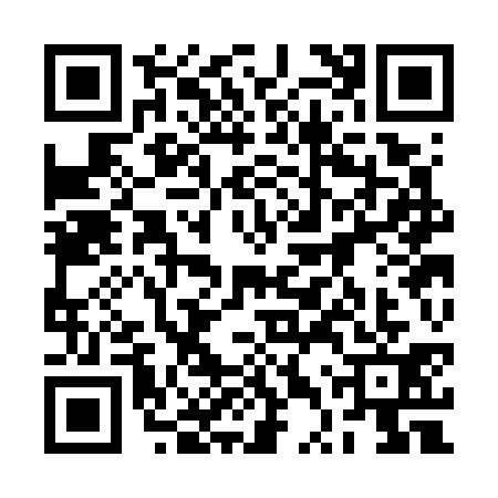 QR code for 2TSG313