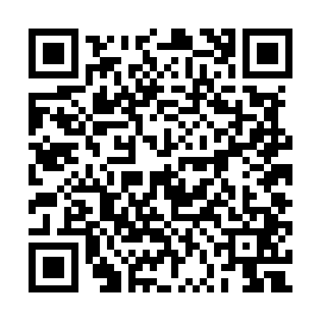 QR code for 2VDM413
