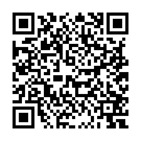 QR code for 2VGI038