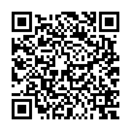 QR code for 2VND295