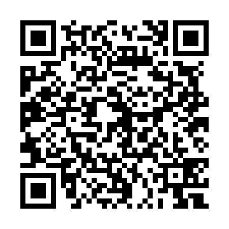 QR code for 2VPN393