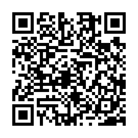 QR code for 2X06617