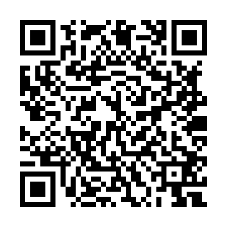 QR code for 2XBX029