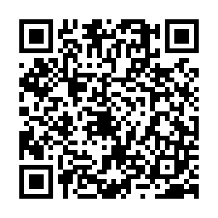 QR code for 2XDL433