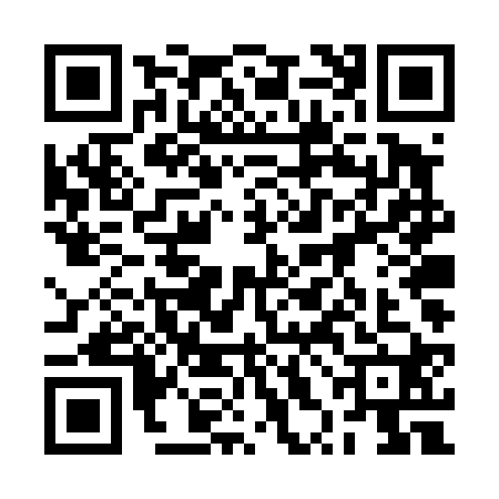QR code for 2XDT207