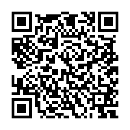 QR code for 2XGM408