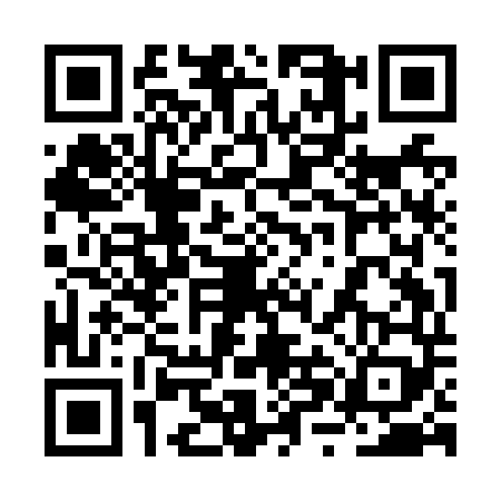QR code for 2XIN495