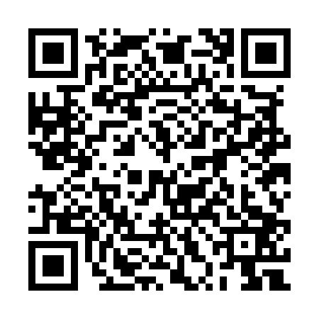 QR code for 2XOM038