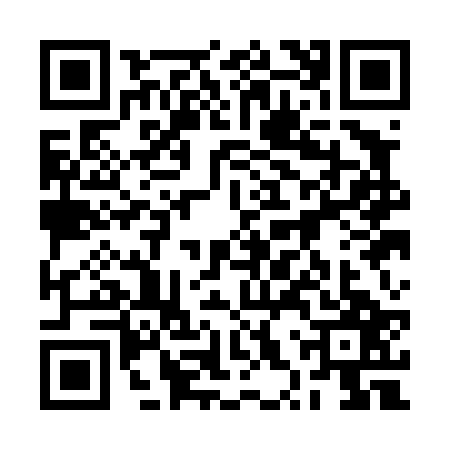 QR code for 2XQD272
