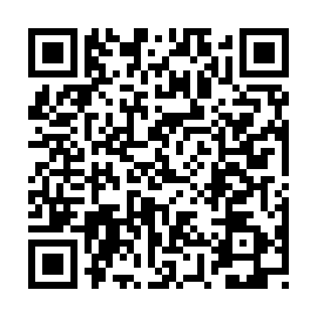 QR code for 2XUI528