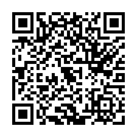 QR code for 2XVI533