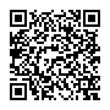 QR code for 2XXM249