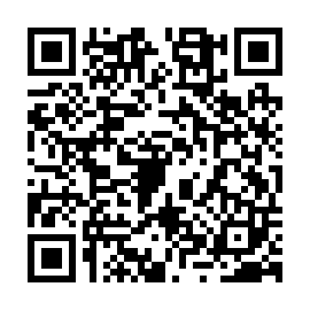 QR code for 2XYB038