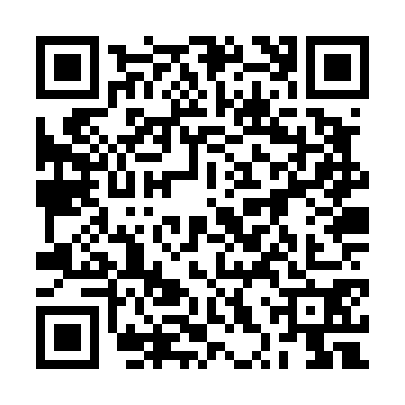 QR code for 2XZT709