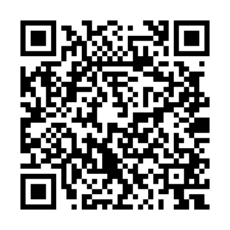 QR code for 2YZP419