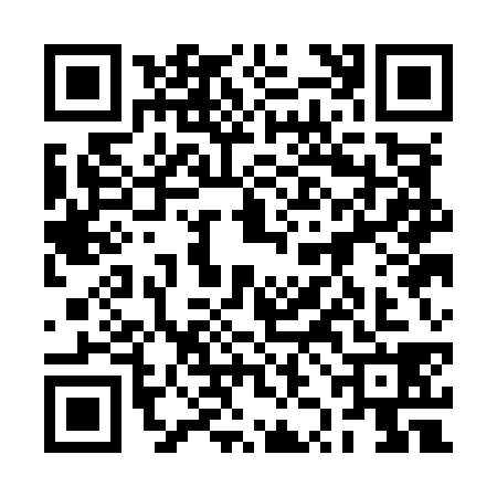 QR code for 2ZAM389