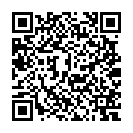 QR code for 2ZGP017