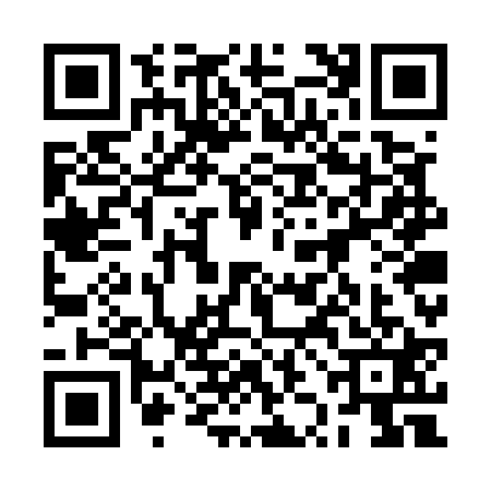 QR code for 2ZGU219