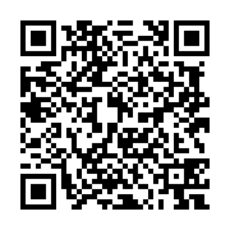 QR code for 2ZML381