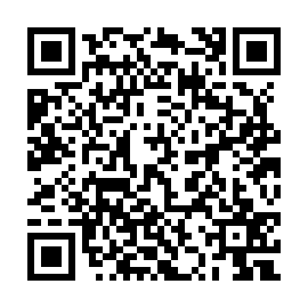 QR code for 2ZSJ370