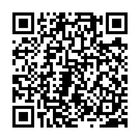 QR code for 2ZSV031