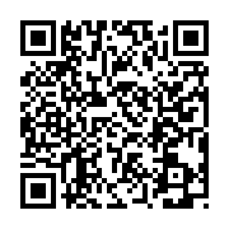 QR code for 2ZSX339