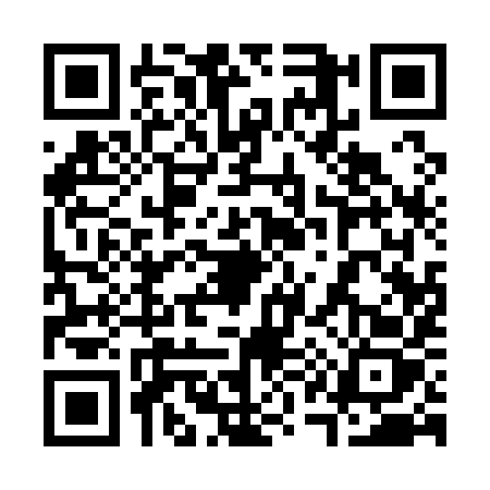 QR code for 31119Z2