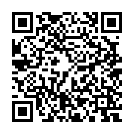 QR code for 31304Z2